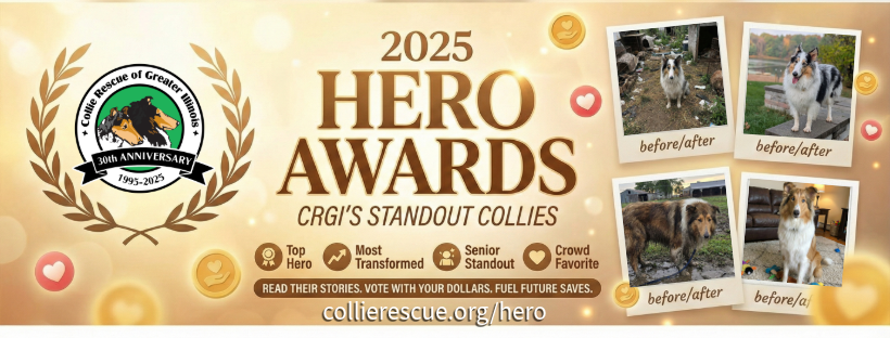 2025 Hero Award Winners