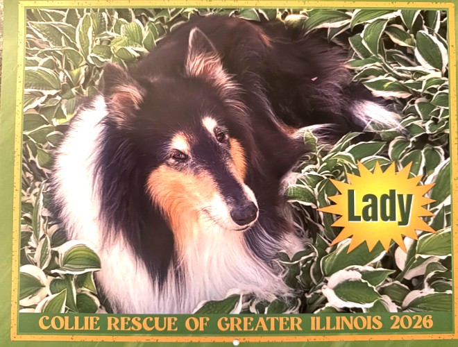 2026 Calendar Now Available