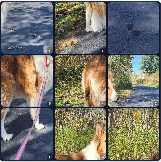 Want to solve a puzzle?