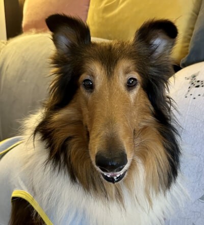 Fergus