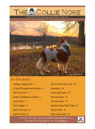 Collie Nose Fall 2018 Newsletter cover