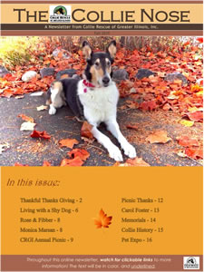 Collie Nose Fall 2019 Newsletter cover