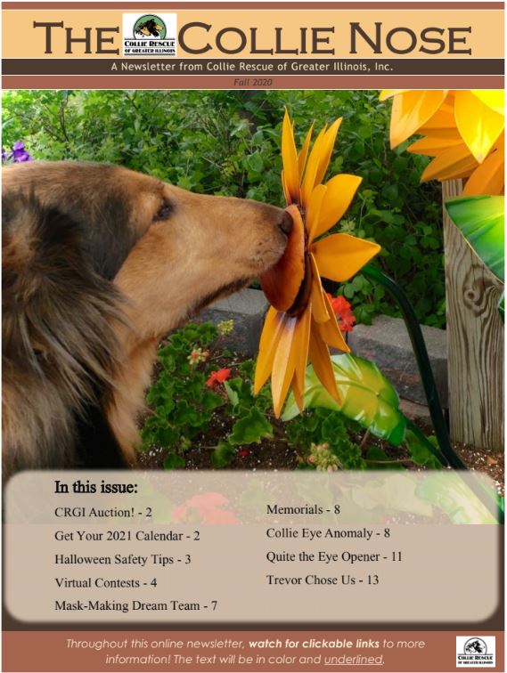 Collie Nose Fall 2020 Newsletter cover