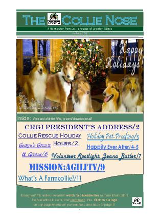 Collie Nose Holiday 2015 cover
