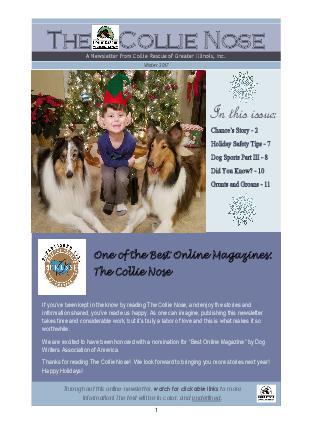 Collie Nose Holiday 2017 cover