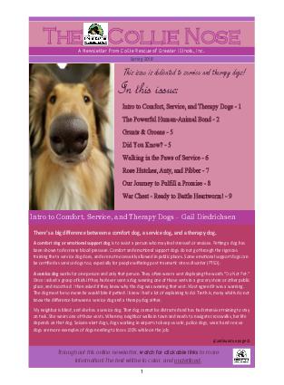 Collie Nose Spring 2018 cover