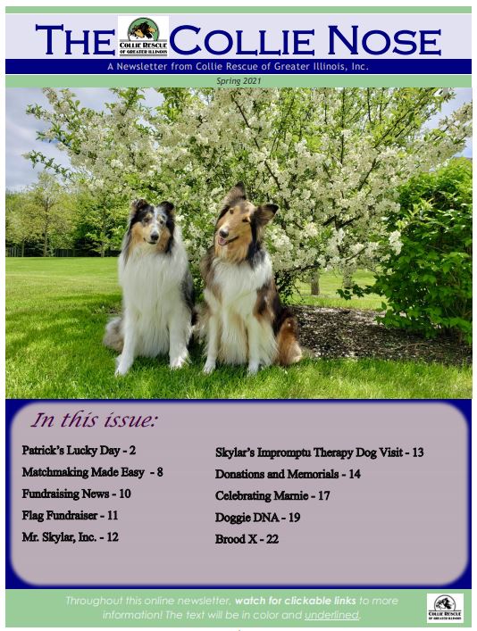 Collie Nose Spring 2021 Newsletter cover