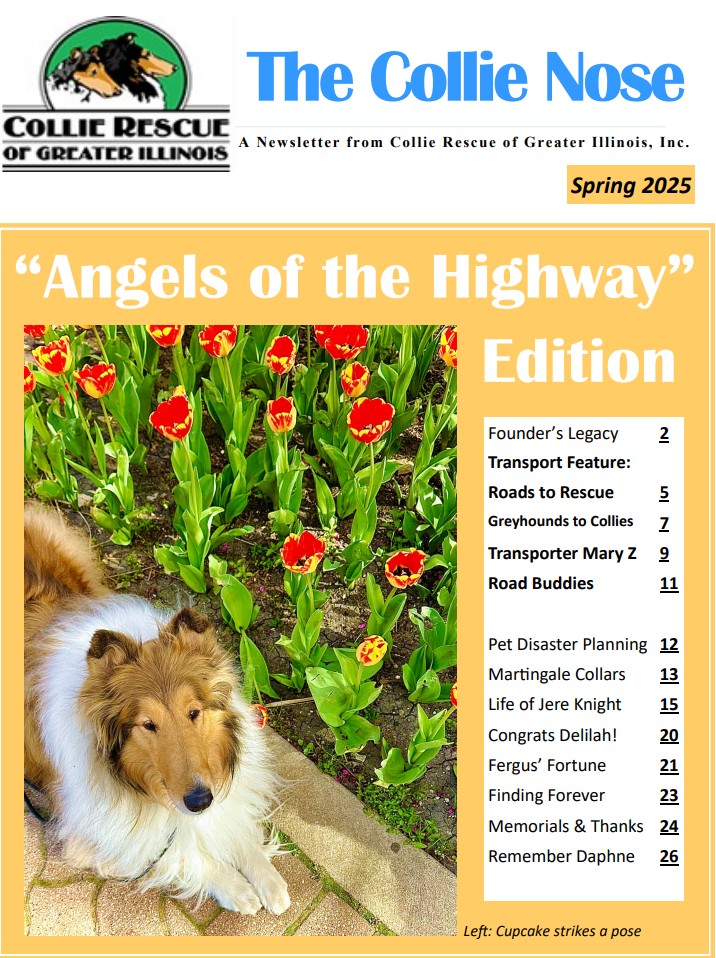 Collie Nose Spring 2025 Newsletter cover