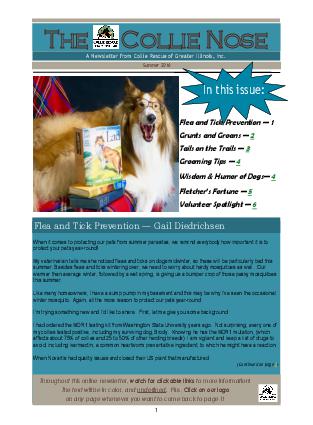 Collie Nose Summer 2016 Newsletter cover