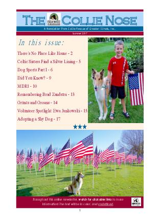 Collie Nose Summer 2017 cover
