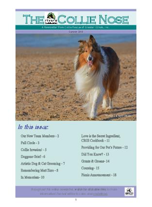 Collie Nose Summer 2018 cover