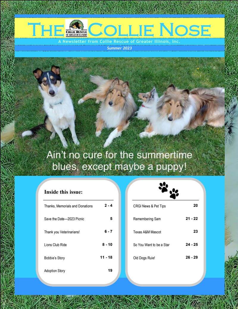 Collie Nose Summer 2023 Newsletter cover