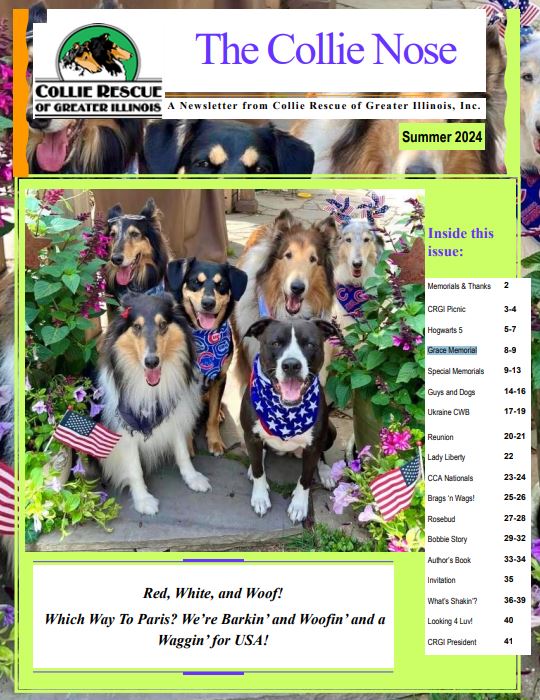 Collie Nose Summer 2024 Newsletter cover