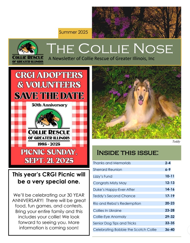 Collie Nose Summer 2025 Newsletter cover