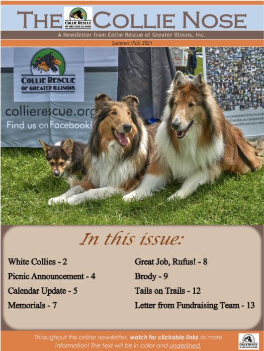 Collie Nose Summer Fall 2021 Newsletter cover