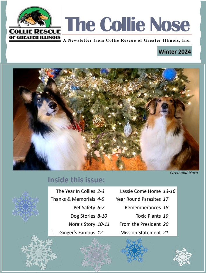 Collie Nose Winter 2024 Newsletter cover