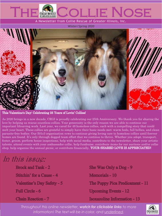 Collie Nose Winter Spring 2020 Newsletter cover