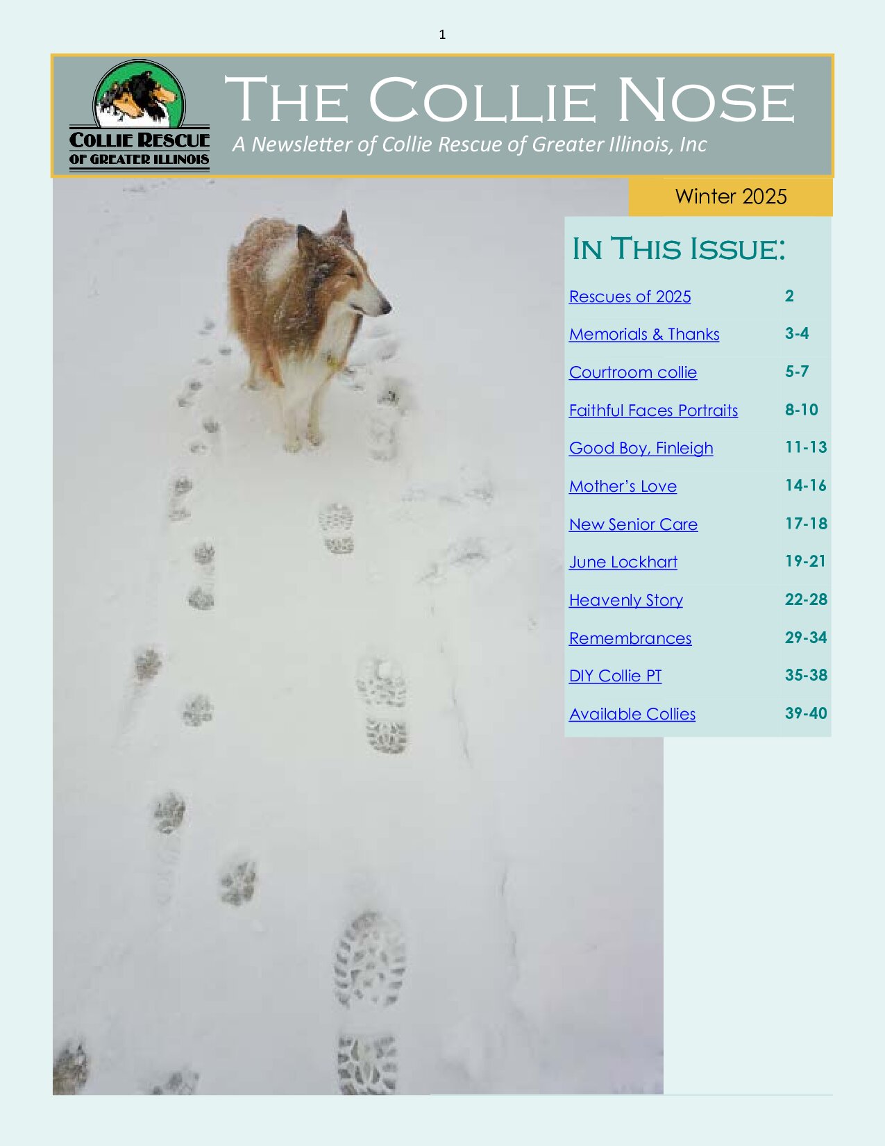 Collie Nose Winter 2025 Newsletter cover